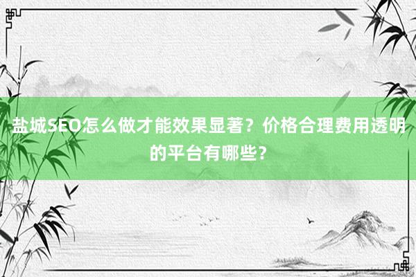 盐城SEO怎么做才能效果显著？价格合理费用透明的平台有哪些？