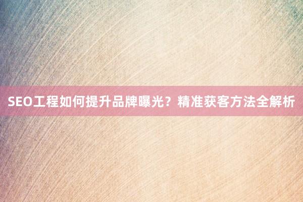 SEO工程如何提升品牌曝光？精准获客方法全解析