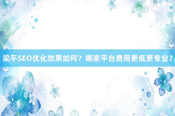 梁平SEO优化效果如何？哪家平台费用更低更专业？