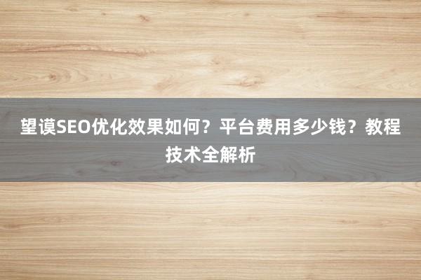 望谟SEO优化效果如何？平台费用多少钱？教程技术全解析
