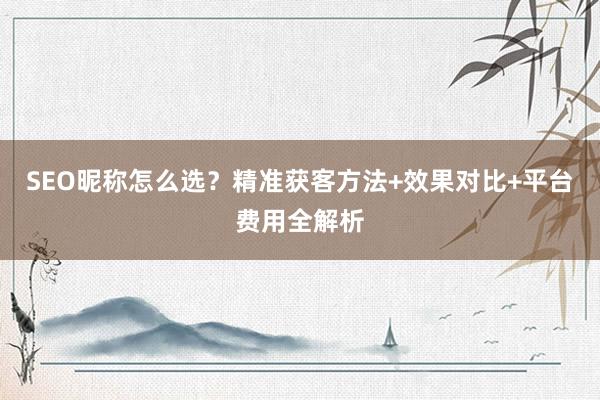 SEO昵称怎么选？精准获客方法+效果对比+平台费用全解析