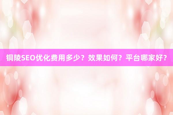 铜陵SEO优化费用多少？效果如何？平台哪家好？