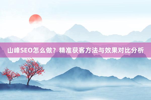 山峰SEO怎么做？精准获客方法与效果对比分析