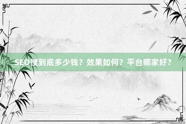 SEO搜到底多少钱？效果如何？平台哪家好？