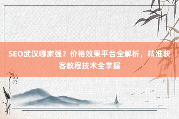 SEO武汉哪家强？价格效果平台全解析，精准获客教程技术全掌握