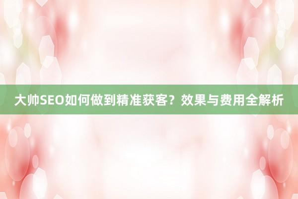 大帅SEO如何做到精准获客？效果与费用全解析