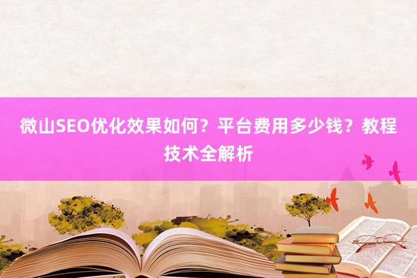 微山SEO优化效果如何？平台费用多少钱？教程技术全解析
