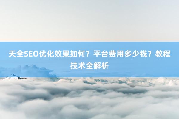 天全SEO优化效果如何？平台费用多少钱？教程技术全解析