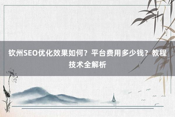 钦州SEO优化效果如何？平台费用多少钱？教程技术全解析