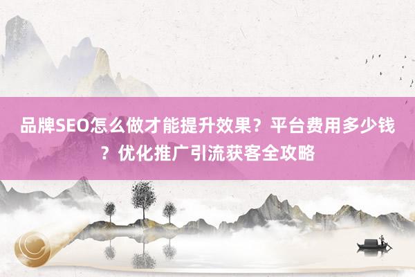 品牌SEO怎么做才能提升效果？平台费用多少钱？优化推广引流获客全攻略