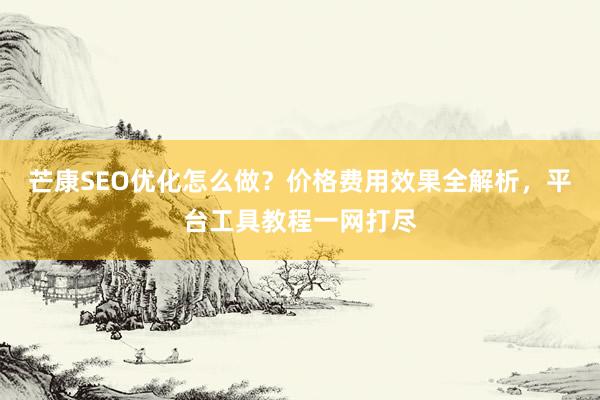 芒康SEO优化怎么做？价格费用效果全解析，平台工具教程一网打尽