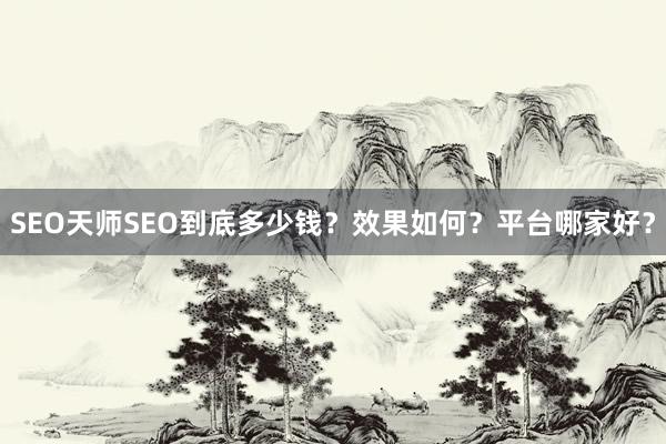 SEO天师SEO到底多少钱？效果如何？平台哪家好？