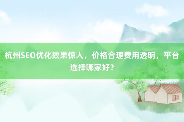 杭州SEO优化效果惊人，价格合理费用透明，平台选择哪家好？