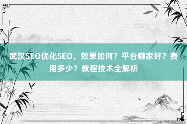 武汉SEO优化SEO，效果如何？平台哪家好？费用多少？教程技术全解析