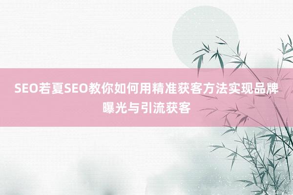 SEO若夏SEO教你如何用精准获客方法实现品牌曝光与引流获客