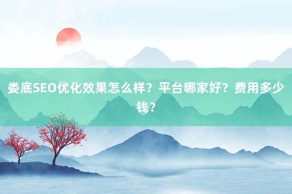 娄底SEO优化效果怎么样？平台哪家好？费用多少钱？
