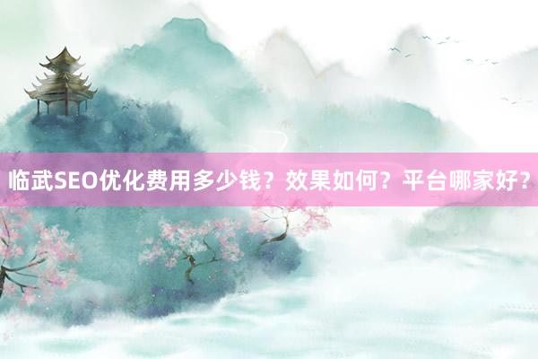 临武SEO优化费用多少钱？效果如何？平台哪家好？