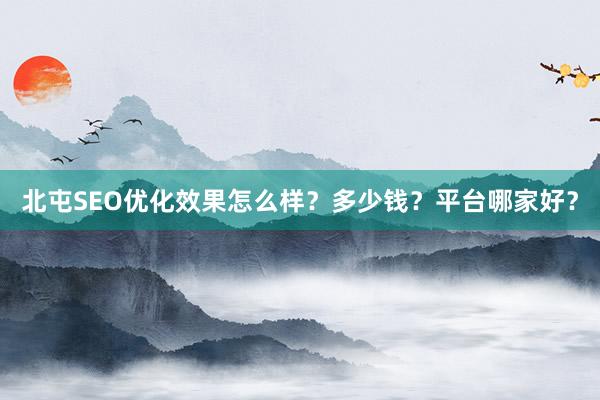 北屯SEO优化效果怎么样？多少钱？平台哪家好？