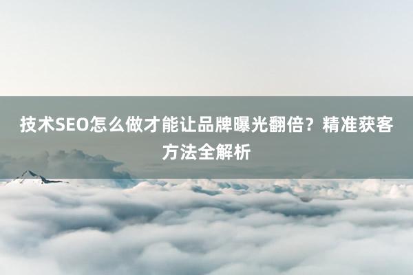 技术SEO怎么做才能让品牌曝光翻倍？精准获客方法全解析
