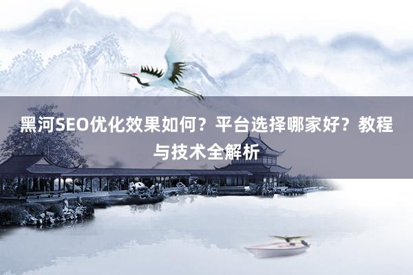 黑河SEO优化效果如何？平台选择哪家好？教程与技术全解析