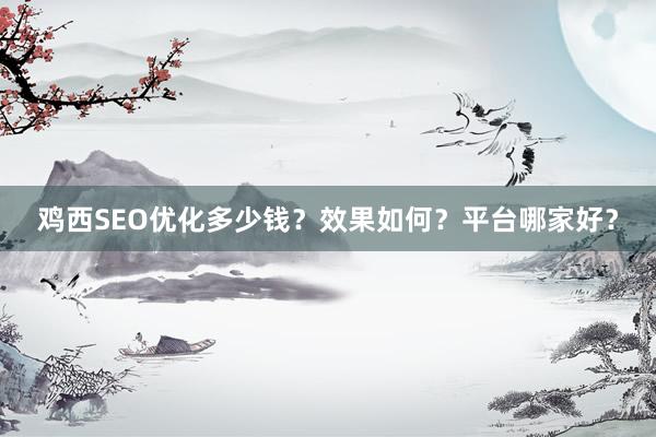 鸡西SEO优化多少钱？效果如何？平台哪家好？