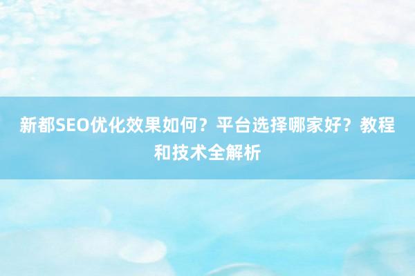 新都SEO优化效果如何？平台选择哪家好？教程和技术全解析