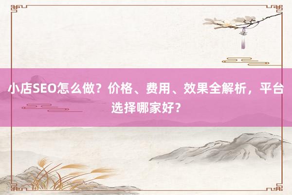 小店SEO怎么做？价格、费用、效果全解析，平台选择哪家好？