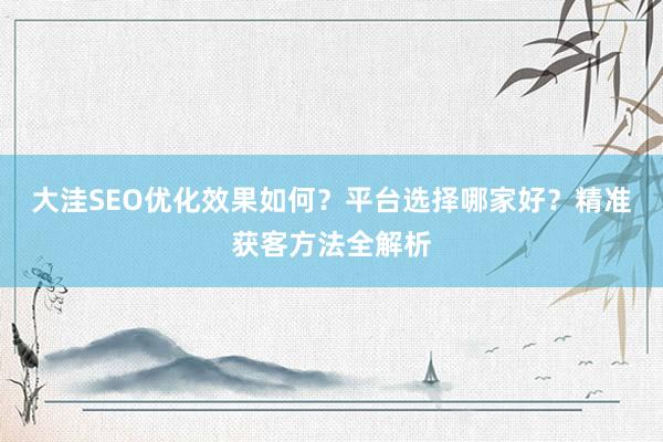 大洼SEO优化效果如何？平台选择哪家好？精准获客方法全解析