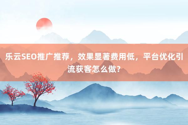 乐云SEO推广推荐，效果显著费用低，平台优化引流获客怎么做？