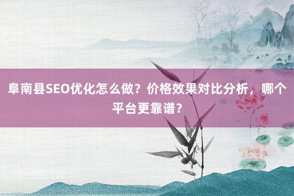阜南县SEO优化怎么做？价格效果对比分析，哪个平台更靠谱？