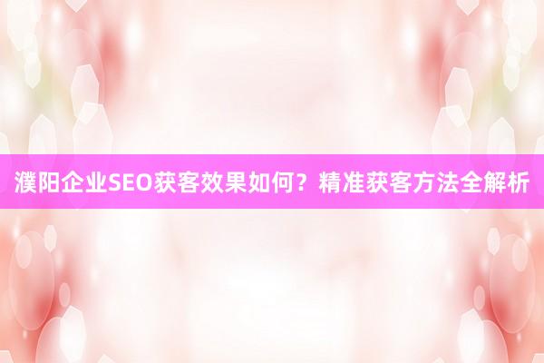 濮阳企业SEO获客效果如何？精准获客方法全解析
