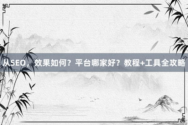 从SEO，效果如何？平台哪家好？教程+工具全攻略