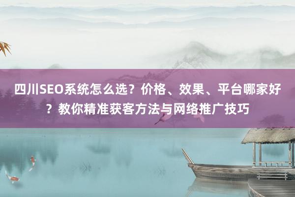 四川SEO系统怎么选？价格、效果、平台哪家好？教你精准获客方法与网络推广技巧