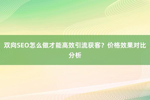 双向SEO怎么做才能高效引流获客？价格效果对比分析