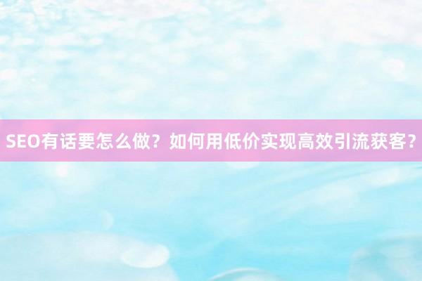 SEO有话要怎么做？如何用低价实现高效引流获客？