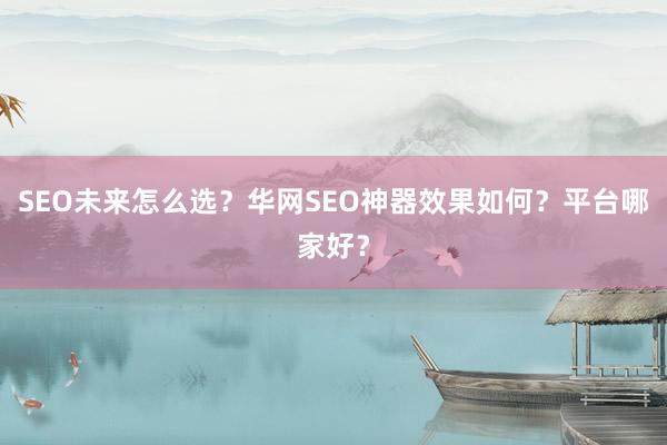 SEO未来怎么选？华网SEO神器效果如何？平台哪家好？