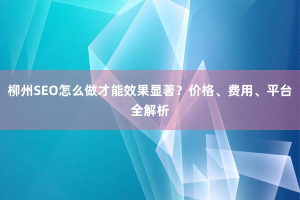 柳州SEO怎么做才能效果显著？价格、费用、平台全解析