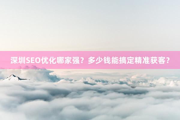 深圳SEO优化哪家强？多少钱能搞定精准获客？