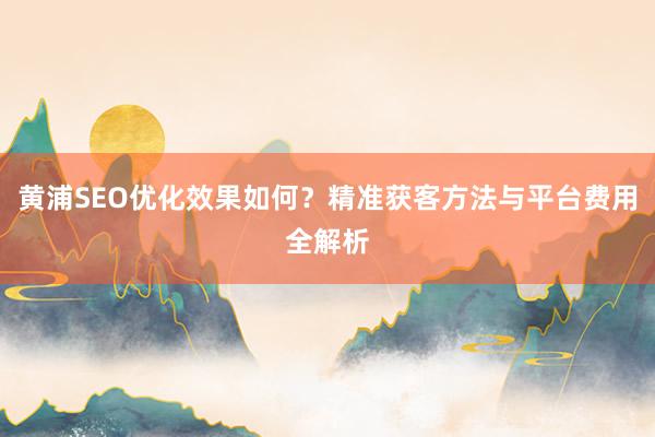 黄浦SEO优化效果如何？精准获客方法与平台费用全解析