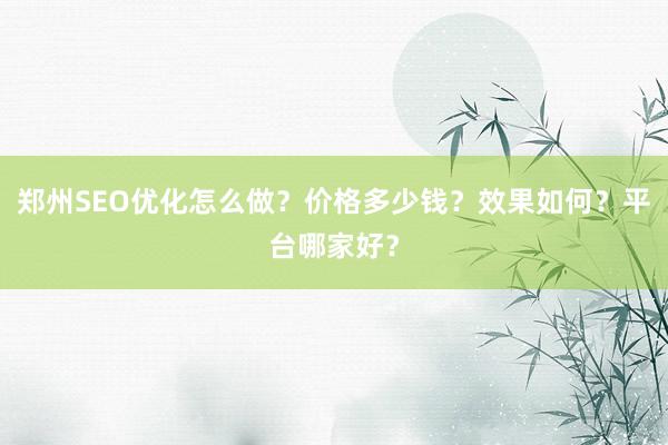 郑州SEO优化怎么做？价格多少钱？效果如何？平台哪家好？