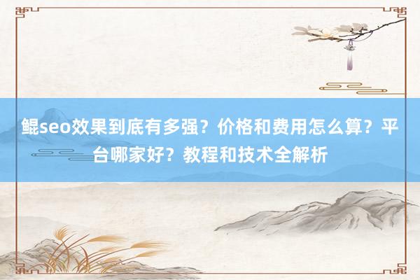 鲲seo效果到底有多强？价格和费用怎么算？平台哪家好？教程和技术全解析
