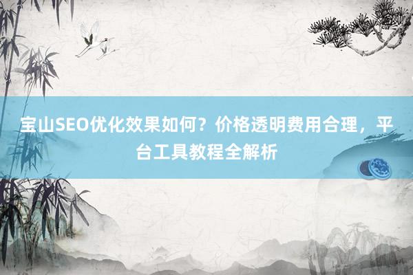 宝山SEO优化效果如何？价格透明费用合理，平台工具教程全解析