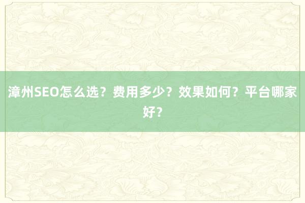 漳州SEO怎么选？费用多少？效果如何？平台哪家好？