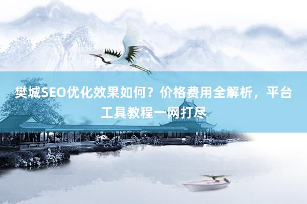 樊城SEO优化效果如何？价格费用全解析，平台工具教程一网打尽