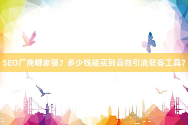 SEO厂商哪家强？多少钱能买到高效引流获客工具？
