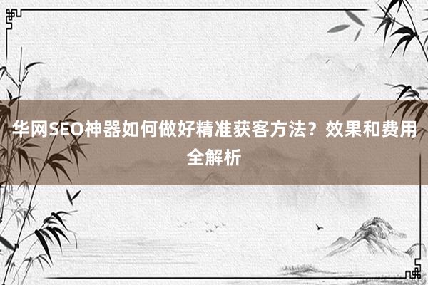 华网SEO神器如何做好精准获客方法？效果和费用全解析