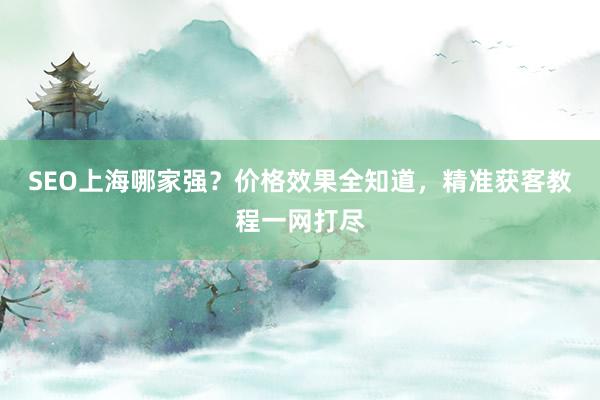 SEO上海哪家强？价格效果全知道，精准获客教程一网打尽