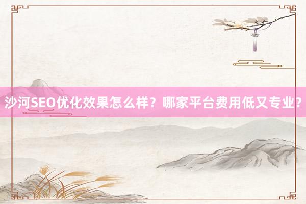沙河SEO优化效果怎么样？哪家平台费用低又专业？
