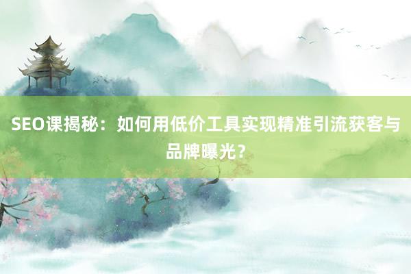 SEO课揭秘：如何用低价工具实现精准引流获客与品牌曝光？