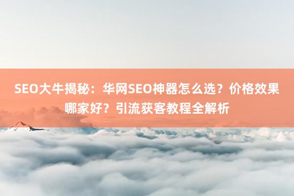 SEO大牛揭秘：华网SEO神器怎么选？价格效果哪家好？引流获客教程全解析